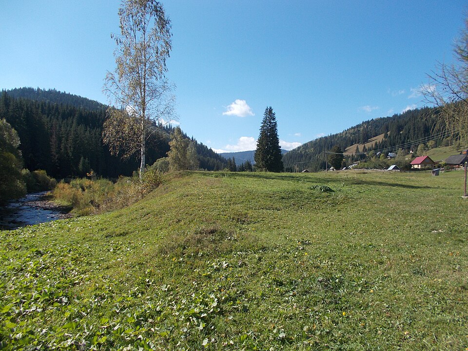 Brodina (Izvoarele Sucevei)