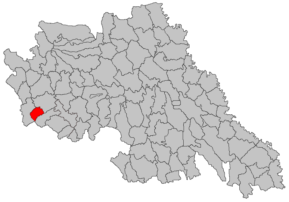 Ciohorăni