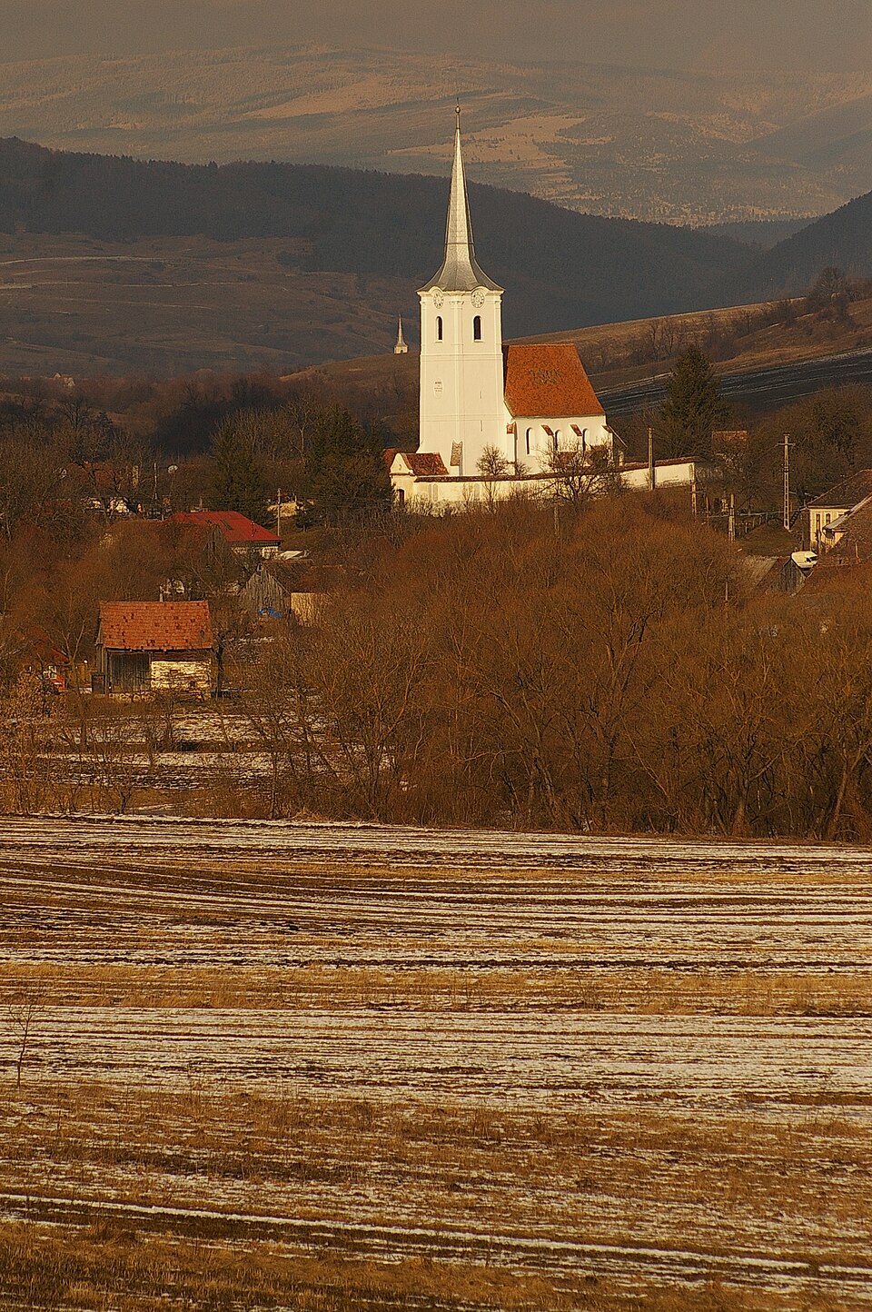 Crăciunel