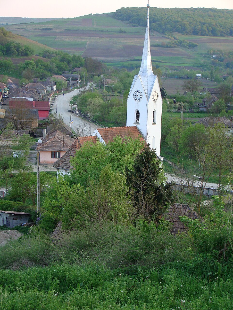Năsal