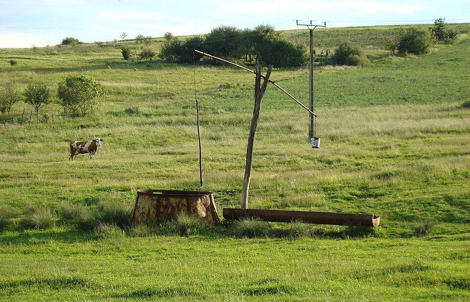 Pădureni (Chinteni)