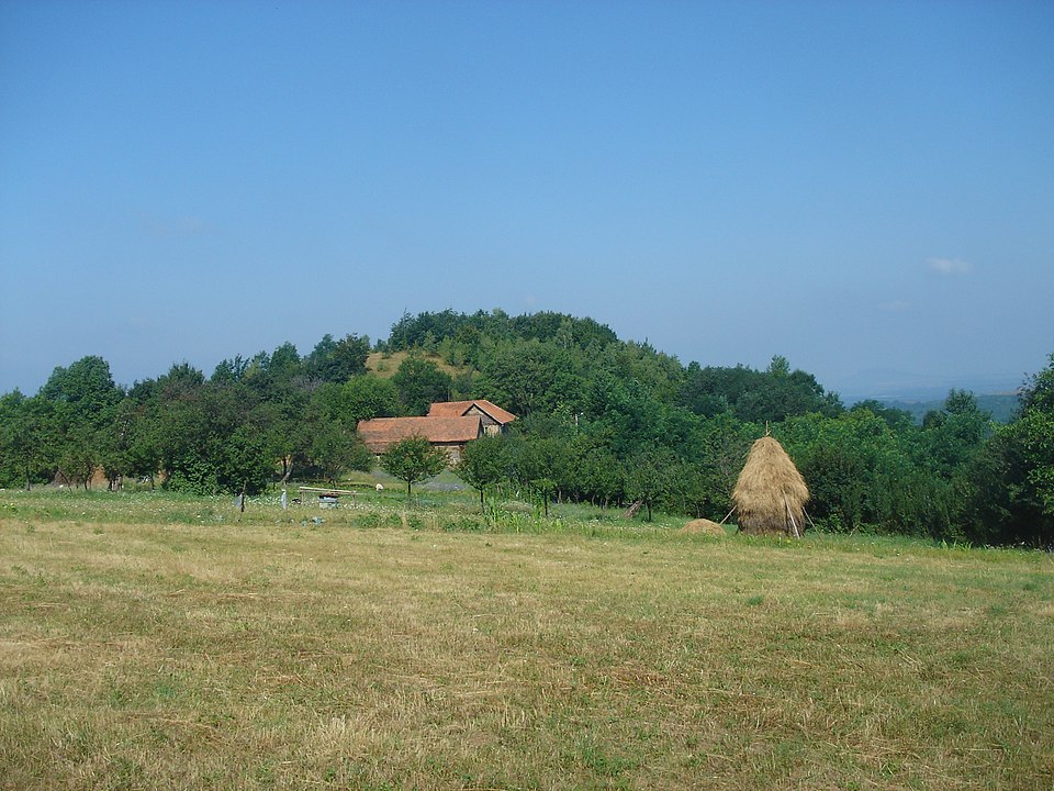 Văsoaia